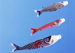 チャック付きポリ袋が格安で購入可能