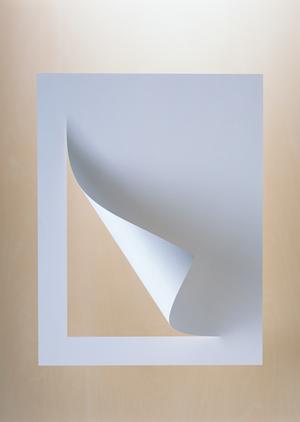 OPP袋は通販を利用するとお得です